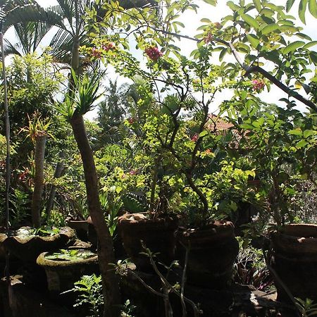 Raditia Homestay Ubud Exterior foto